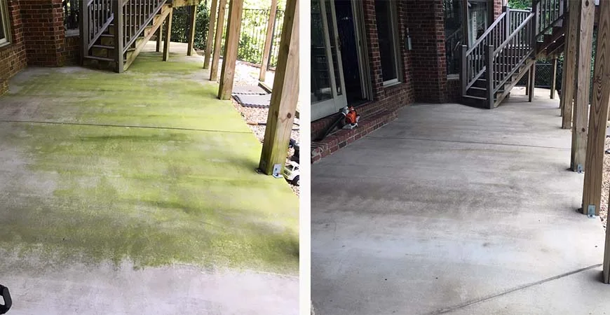 Algae Removal by BlueLine Services