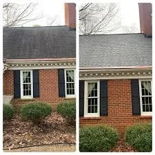Brick & Roof Cleaning by BlueLine Services