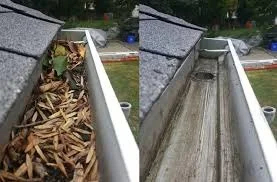 Gutter Cleaning by BlueLine Services