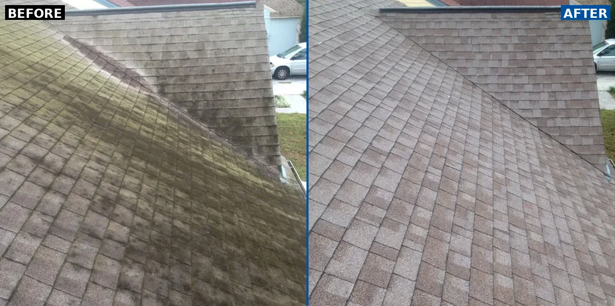 Roof Soft Wash by BlueLine Services