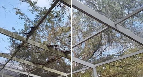Screen Enclosure Cleaning by BlueLine Services